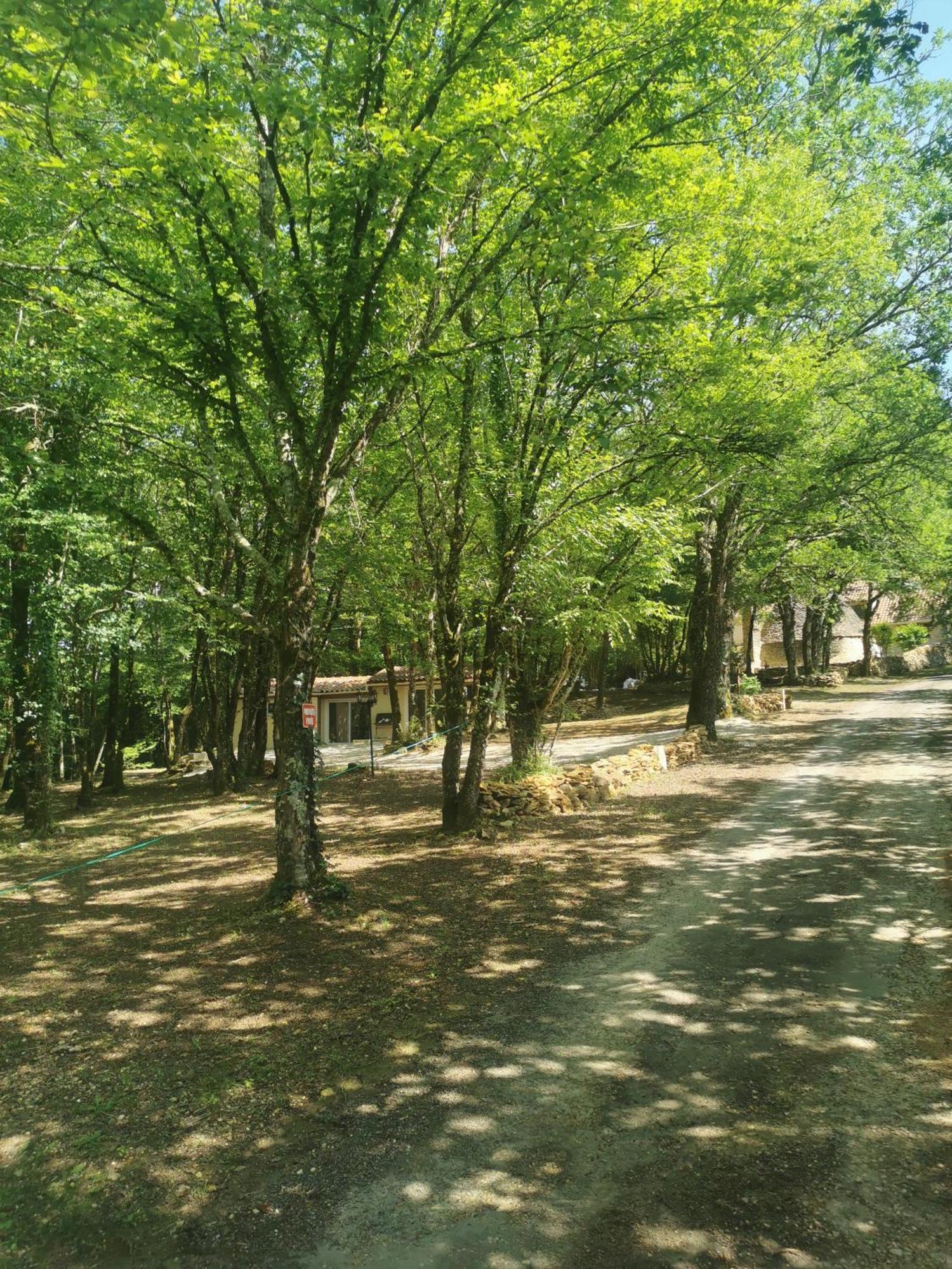 Gite La Borie Du Bois Sarlat Saint-Andre-d'Allas Exterior foto